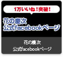 花の慶次公式facebook（枠埋め）